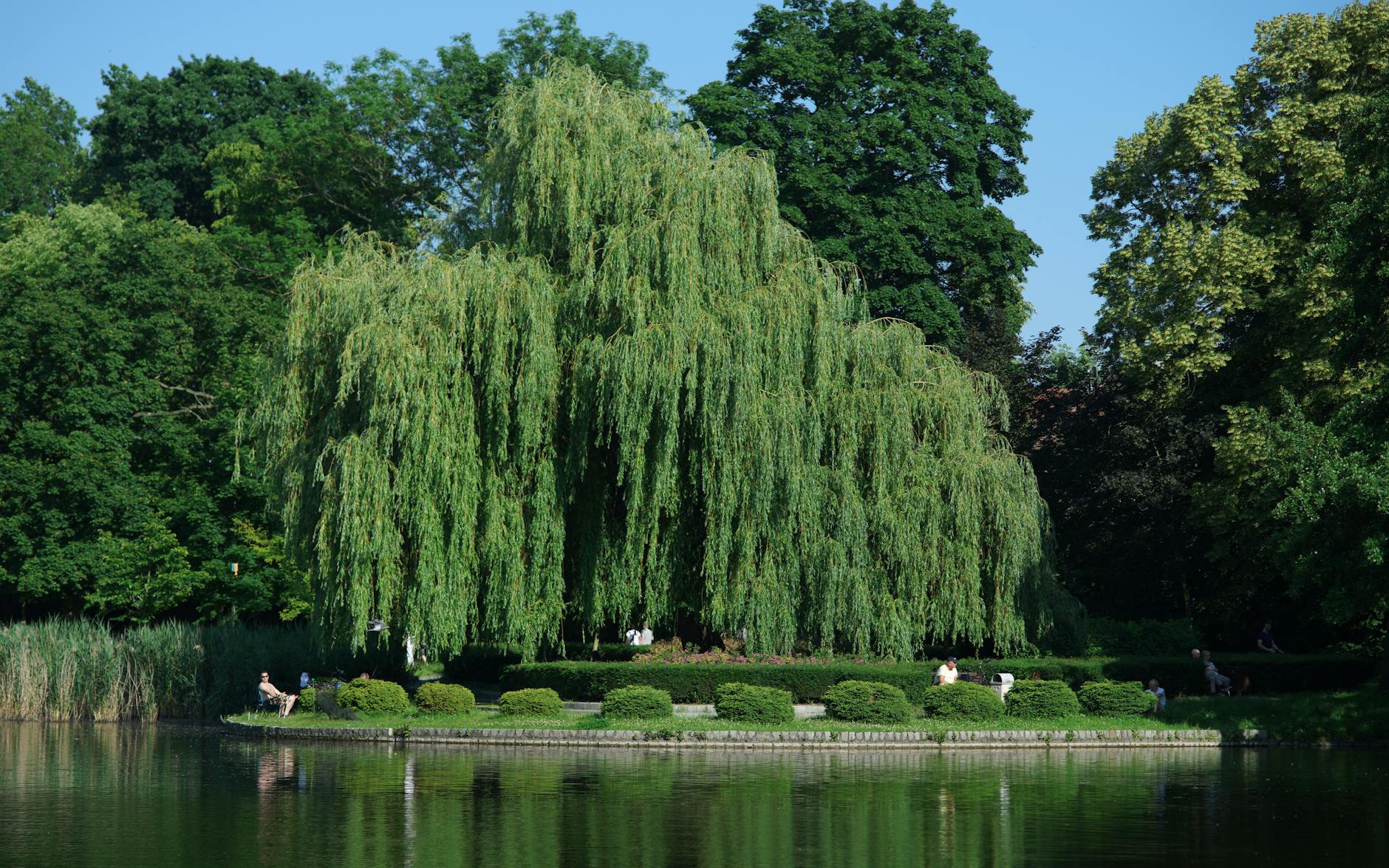 Oleśnica otrzymała dofinansowanie na przebudowę drogi w Świerznej