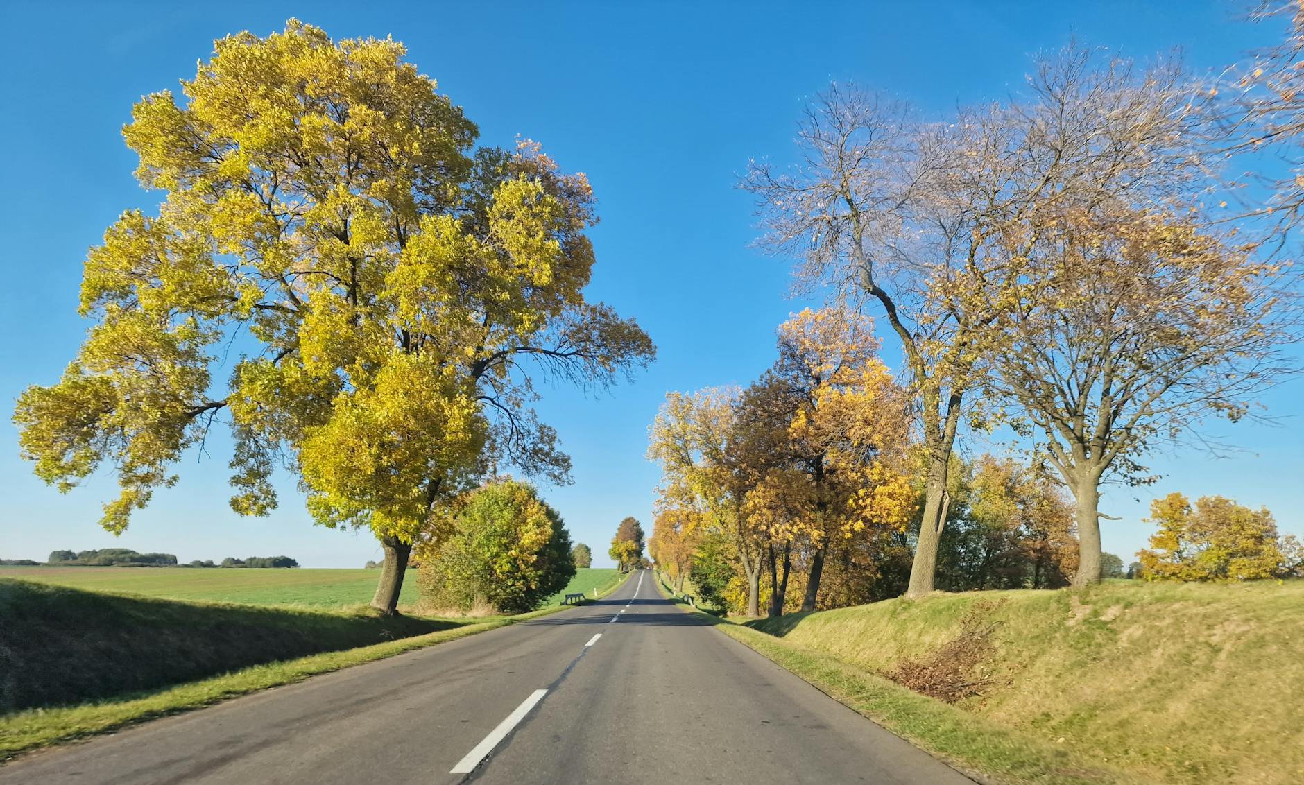 Policjanci podczas akcji w powiecie oleśnickim - ćwiczenia służb mają na celu poprawę bezpieczeństwa